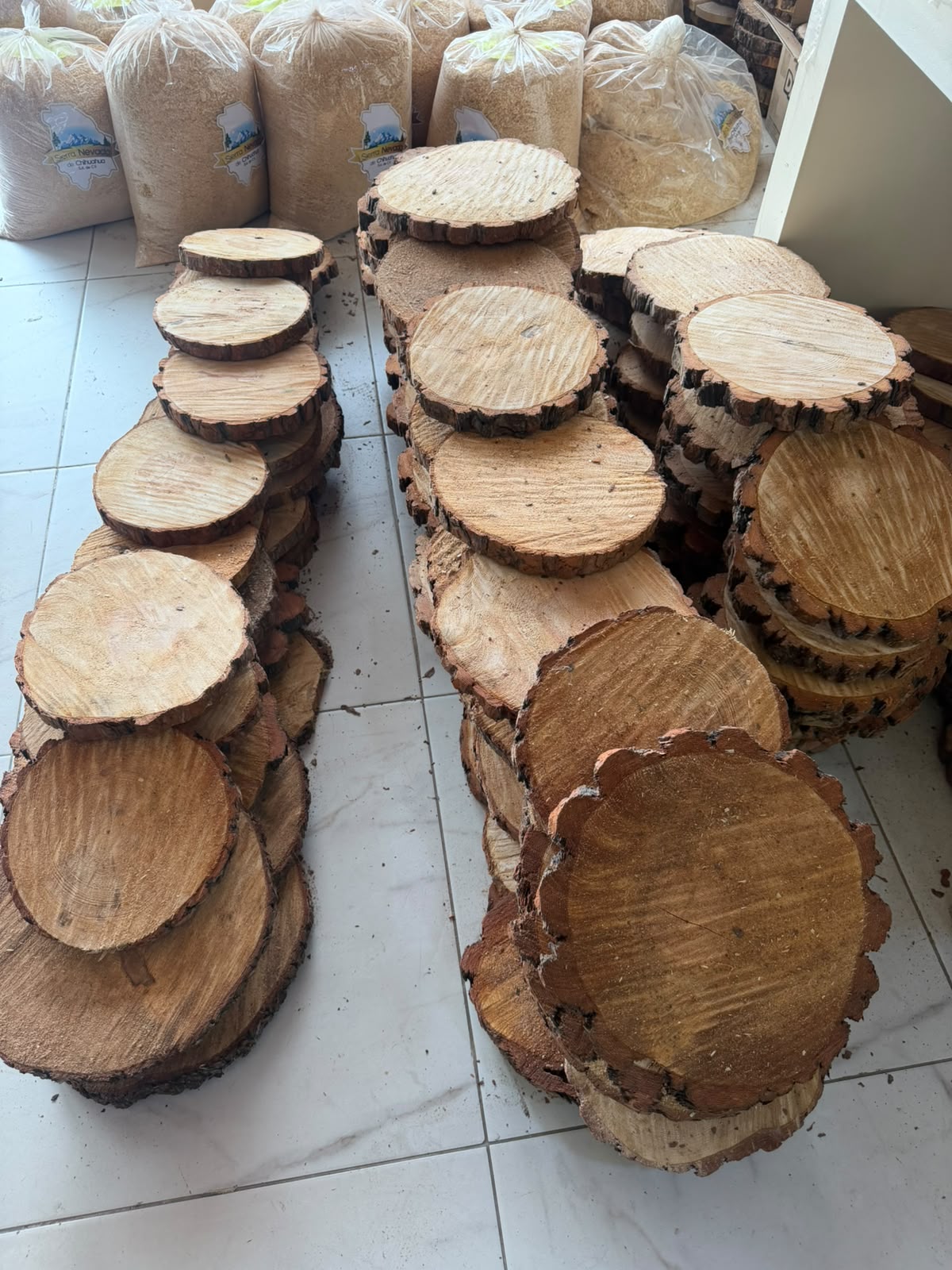 Rodaja Pino 32 cm x 1" / 12pza