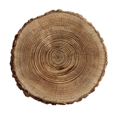 Decoración madera
