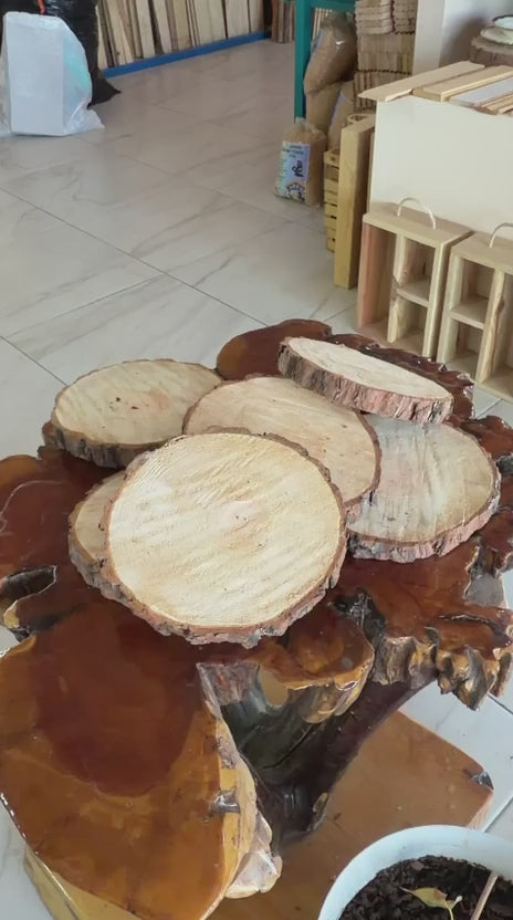Rodaja Pino Jumbo 32 cm x 1" / 6pza